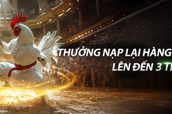 Hoàn Trả Hàng Ngày 777bet không giới hạn